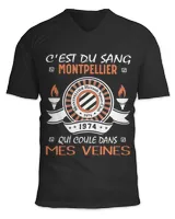Unisex Jersey SS V-Neck T-Shirt Unisex Jersey SS V-Neck T-Shirt