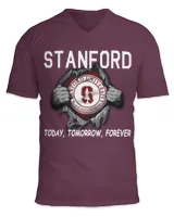 Unisex Jersey SS V-Neck T-Shirt