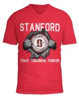 Unisex Jersey SS V-Neck T-Shirt