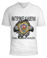 Unisex Jersey SS V-Neck T-Shirt Unisex Jersey SS V-Neck T-Shirt