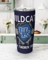 Viking Tumbler (20oz) Viking Tumbler (20oz)