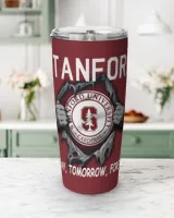 Viking Tumbler (20oz) Viking Tumbler (20oz)