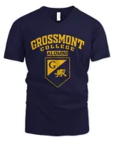 Men's V-Neck T-Shirt Men's V-Neck T-Shirt
