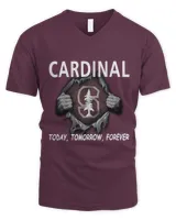 Men's V-Neck T-Shirt Men's V-Neck T-Shirt