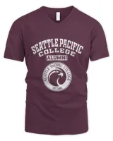Men's V-Neck T-Shirt Men's V-Neck T-Shirt