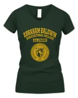 Women's V-Neck T-Shirt Women's V-Neck T-Shirt