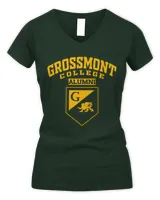 Women's V-Neck T-Shirt Women's V-Neck T-Shirt