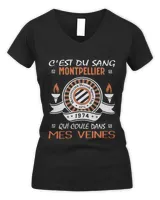 Women's V-Neck T-Shirt Women's V-Neck T-Shirt