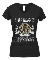 Women's V-Neck T-Shirt Women's V-Neck T-Shirt