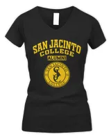 Women's V-Neck T-Shirt Women's V-Neck T-Shirt