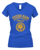 Women's V-Neck T-Shirt Women's V-Neck T-Shirt
