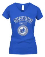Women's V-Neck T-Shirt Women's V-Neck T-Shirt
