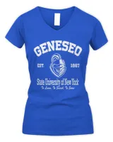 Women's V-Neck T-Shirt Women's V-Neck T-Shirt