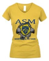 Women's V-Neck T-Shirt Women's V-Neck T-Shirt