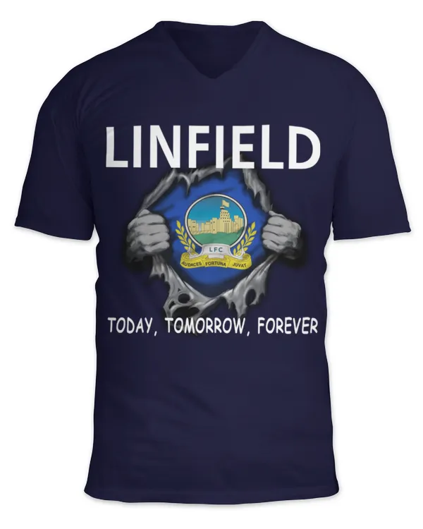 Unisex Jersey SS V-Neck T-Shirt
