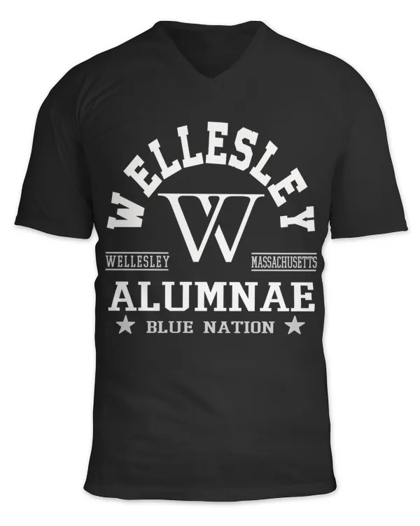 Unisex Jersey SS V-Neck T-Shirt