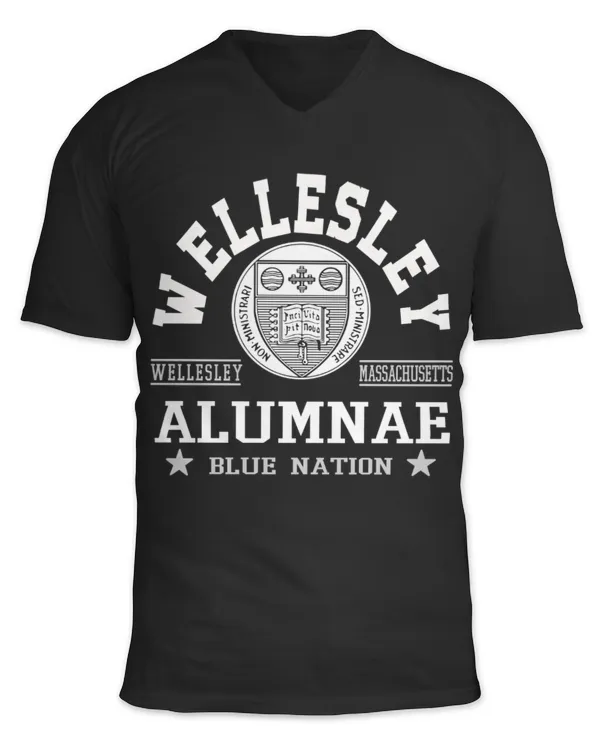 Unisex Jersey SS V-Neck T-Shirt