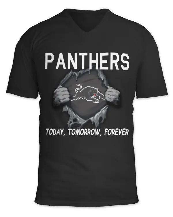 Unisex Jersey SS V-Neck T-Shirt