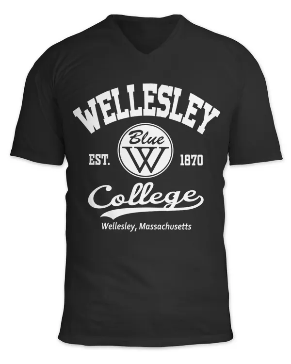 Unisex Jersey SS V-Neck T-Shirt