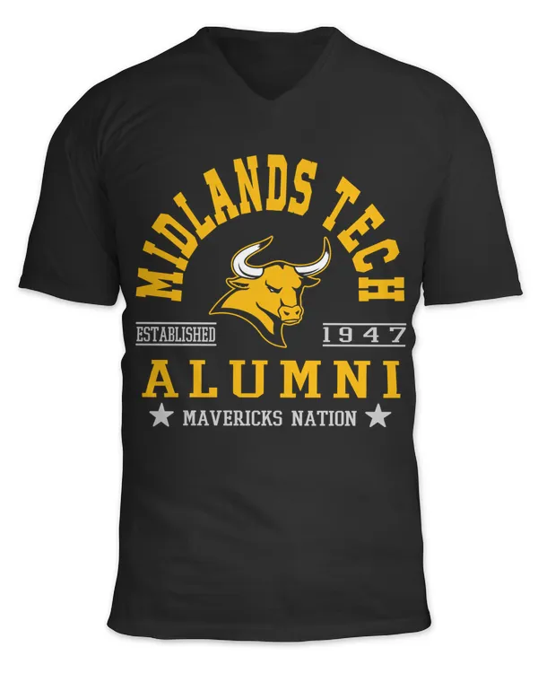 Unisex Jersey SS V-Neck T-Shirt