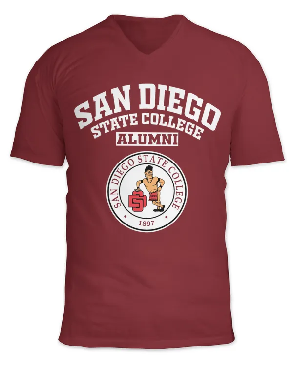 Unisex Jersey SS V-Neck T-Shirt
