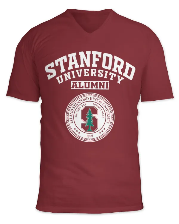 Unisex Jersey SS V-Neck T-Shirt
