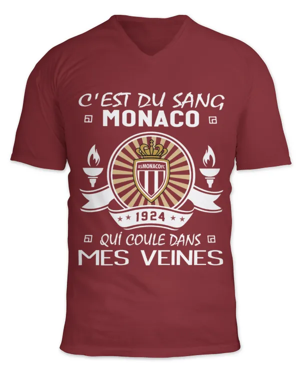 Unisex Jersey SS V-Neck T-Shirt