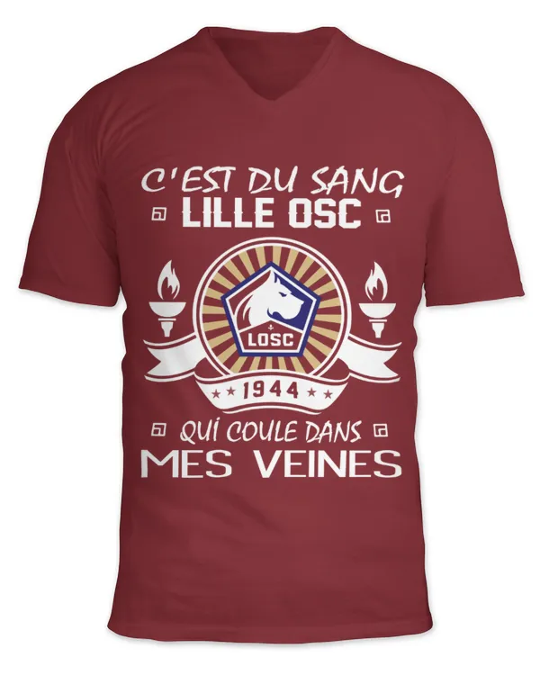 Unisex Jersey SS V-Neck T-Shirt