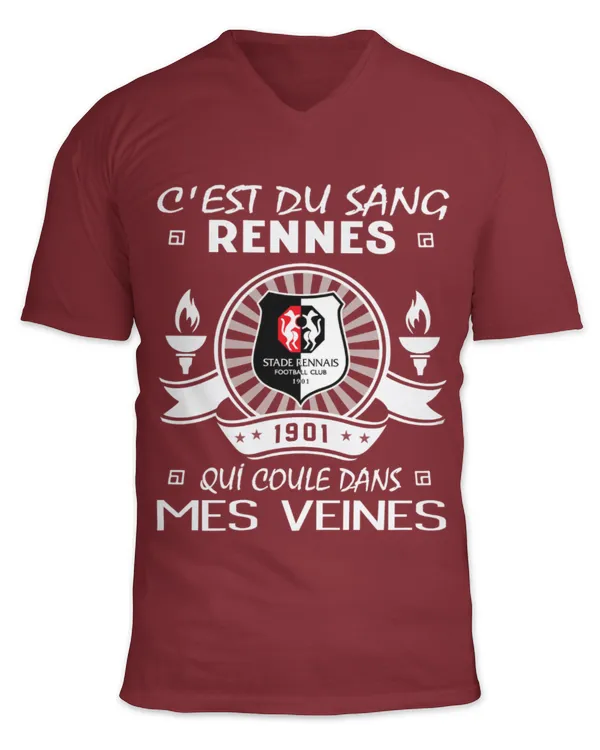 Unisex Jersey SS V-Neck T-Shirt