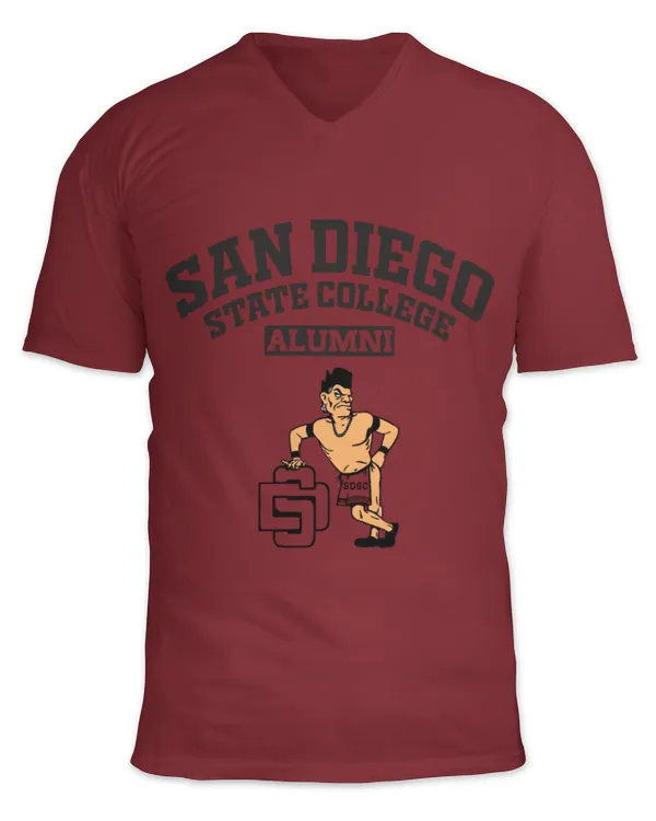 Unisex Jersey SS V-Neck T-Shirt