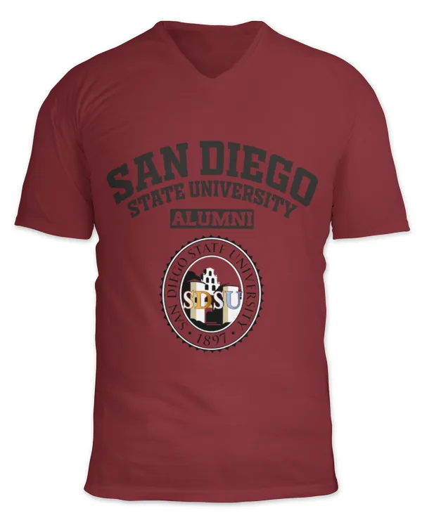 Unisex Jersey SS V-Neck T-Shirt