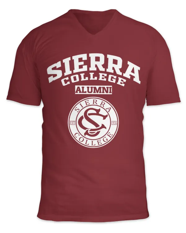 Unisex Jersey SS V-Neck T-Shirt