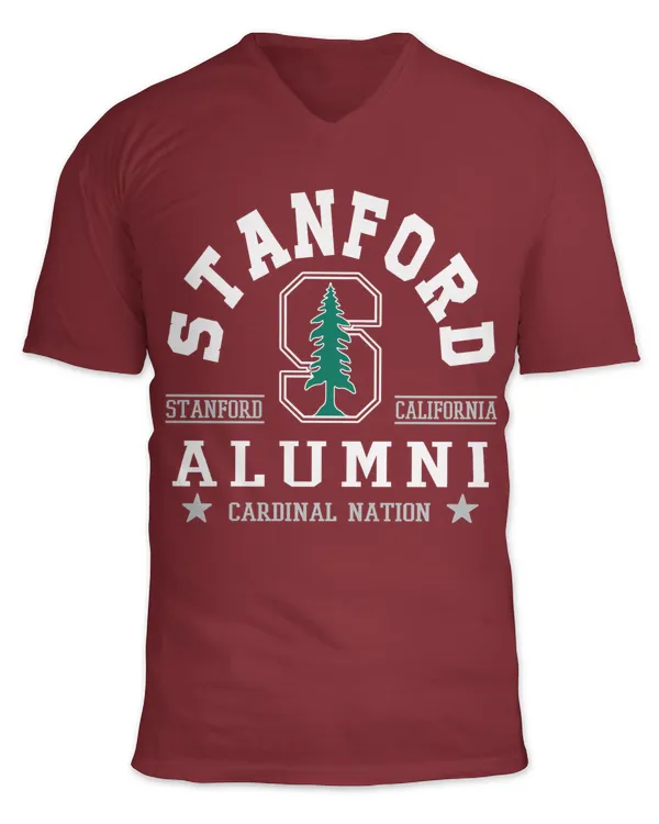 Unisex Jersey SS V-Neck T-Shirt