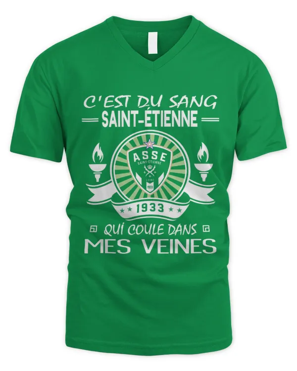 Men's V-Neck T-Shirt