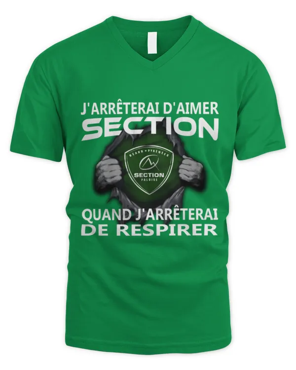 Men's V-Neck T-Shirt