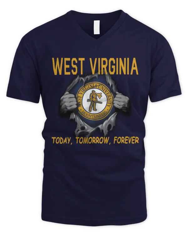 Men's V-Neck T-Shirt
