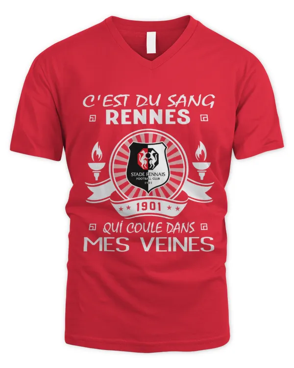 Men's V-Neck T-Shirt
