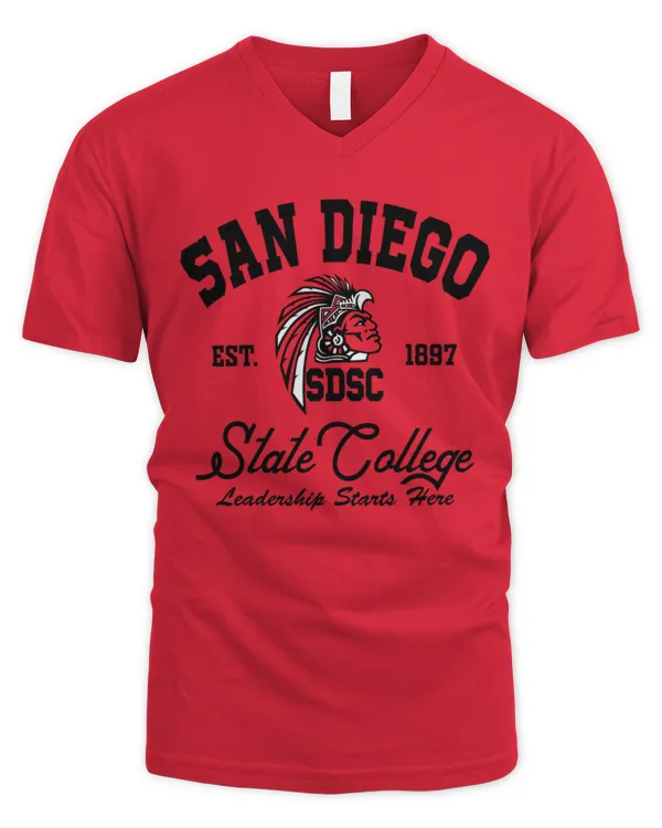 Men's V-Neck T-Shirt