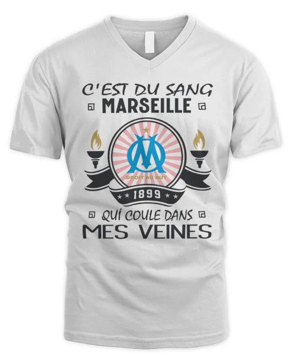 Men's V-Neck T-Shirt