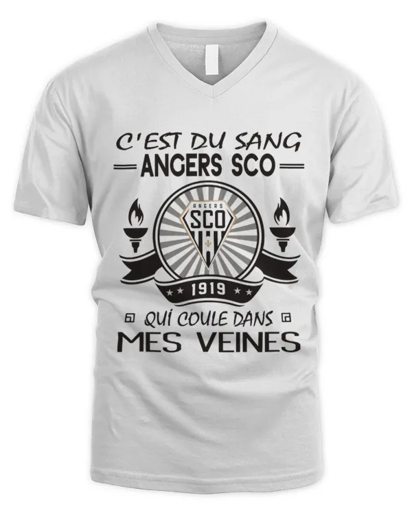 Men's V-Neck T-Shirt