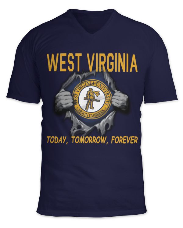 Unisex Jersey SS V-Neck T-Shirt