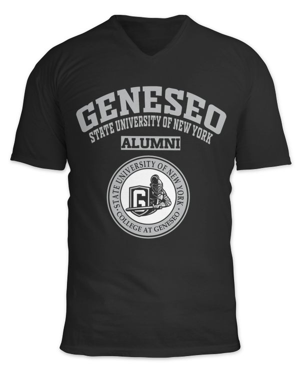 Unisex Jersey SS V-Neck T-Shirt