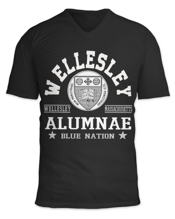 Unisex Jersey SS V-Neck T-Shirt