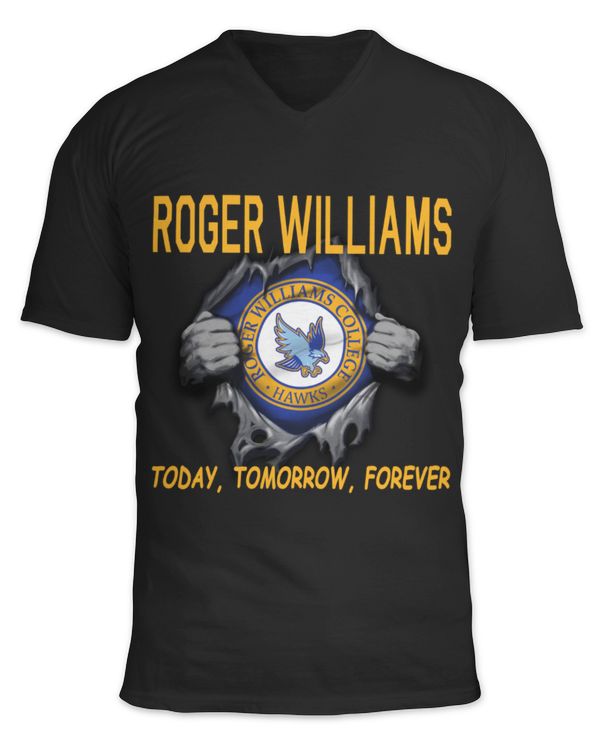 Unisex Jersey SS V-Neck T-Shirt
