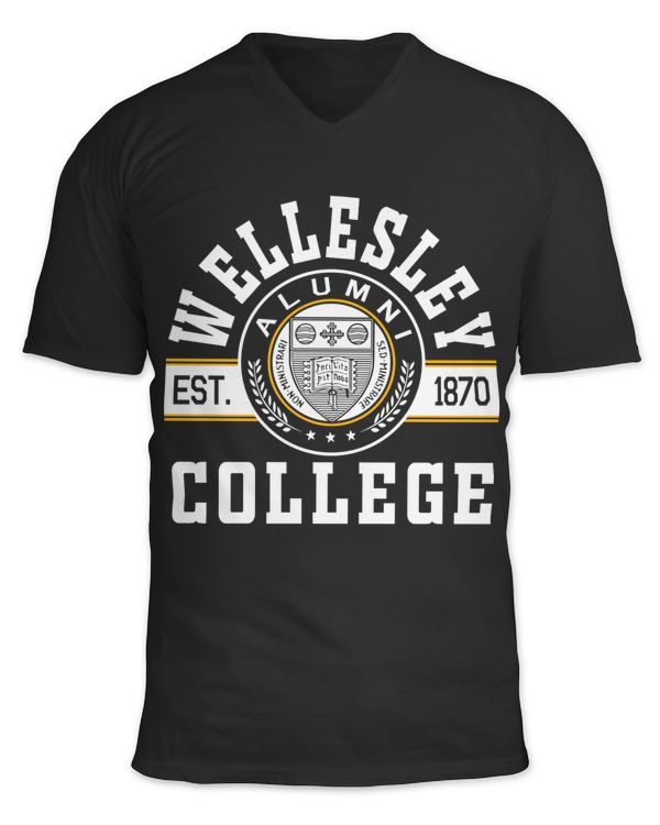 Unisex Jersey SS V-Neck T-Shirt