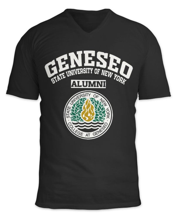 Unisex Jersey SS V-Neck T-Shirt