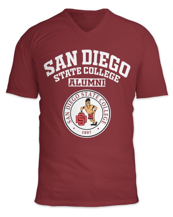Unisex Jersey SS V-Neck T-Shirt