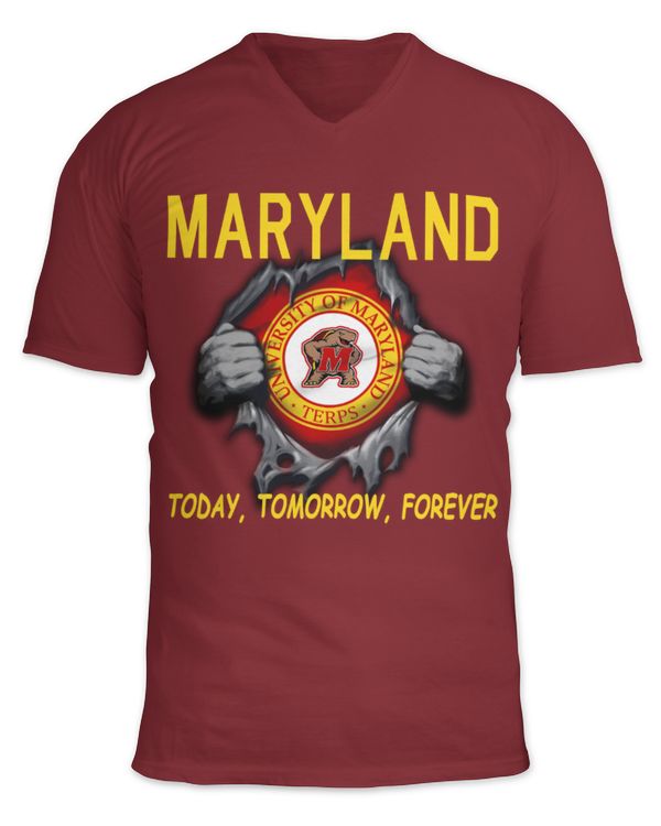 Unisex Jersey SS V-Neck T-Shirt