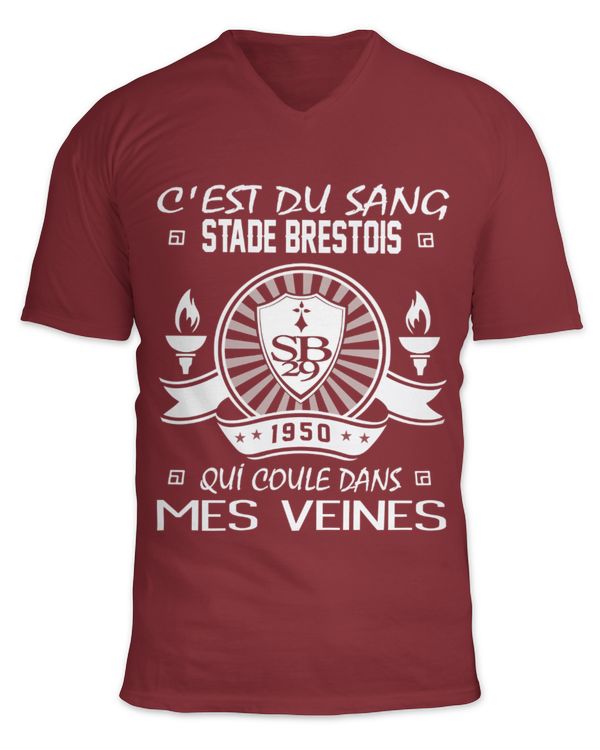 Unisex Jersey SS V-Neck T-Shirt