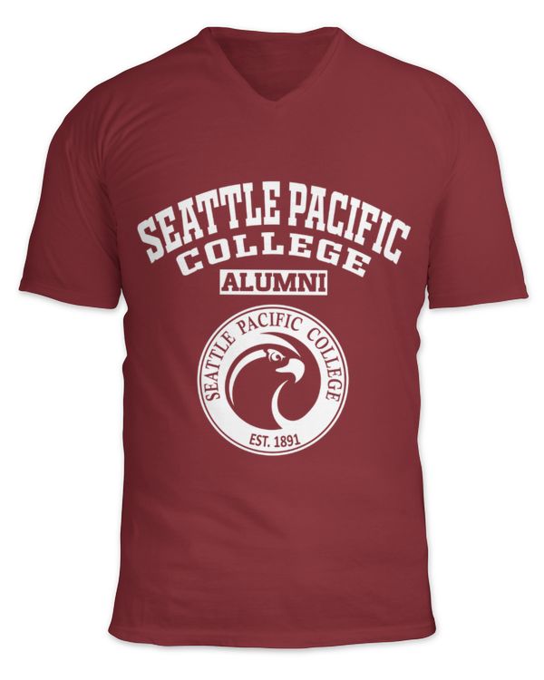 Unisex Jersey SS V-Neck T-Shirt